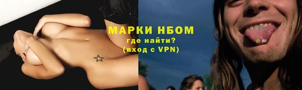 прущие грибы Красноперекопск