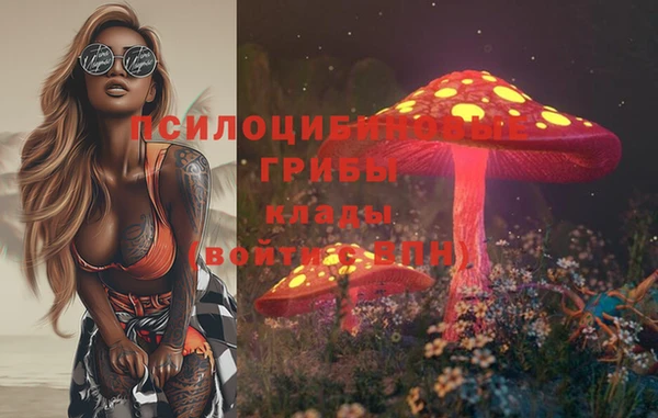 дживик Кукмор