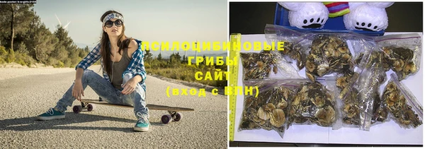 дживик Кукмор
